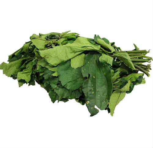 Fresh Ugu Leaf Nig