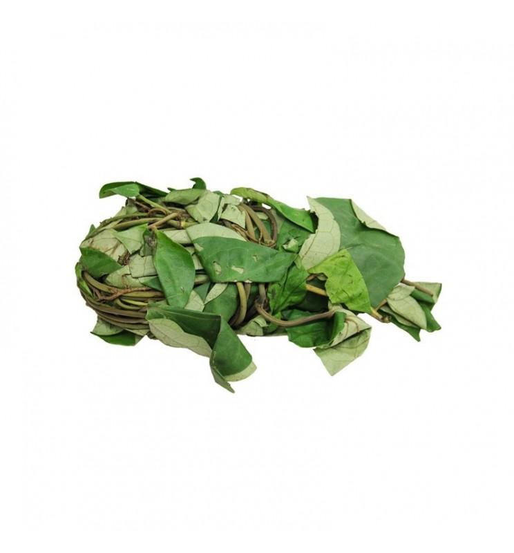 Fresh Uziza Leaf Nig