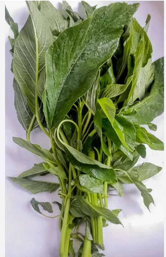 Fresh Green Leaf Nig