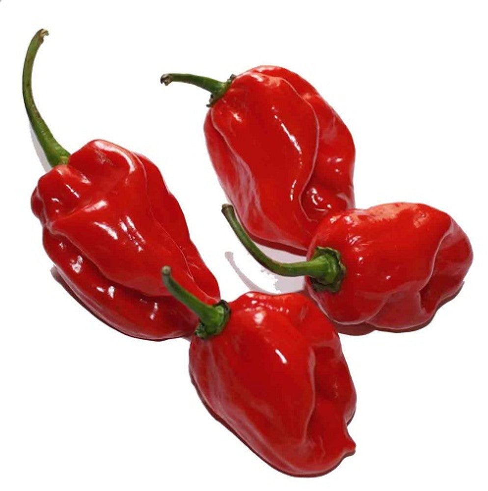 Habanero Red Pepper  Extremely Hot 1kg