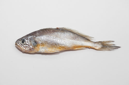 Yellow Croaker Fish 1kg