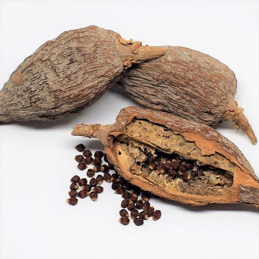 Alligator pepper (Atakou) 1 pcs